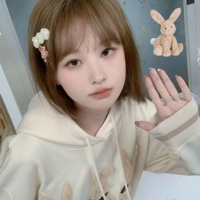 丛林大逃生taptap版下载